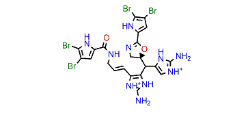 Nagelamide R